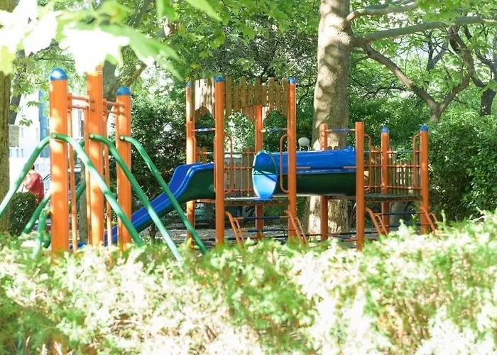 Hotel Oasis Park - New Managment