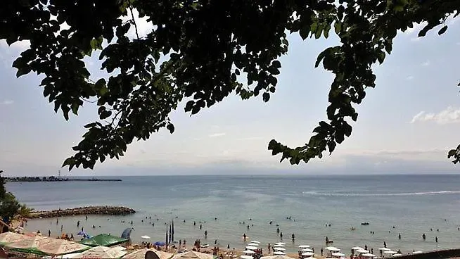 Oasis Park - New Managment Hotel